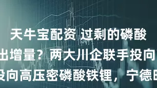 天牛宝配资 过剩的磷酸铁锂“杀”出增量？两大川企联手投向高压密磷酸铁锂，宁德时代早入局