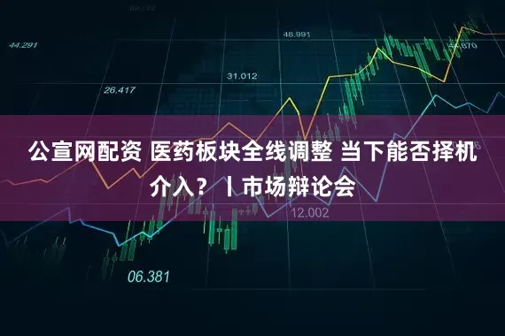 公宣网配资 医药板块全线调整 当下能否择机介入？丨市场辩论会