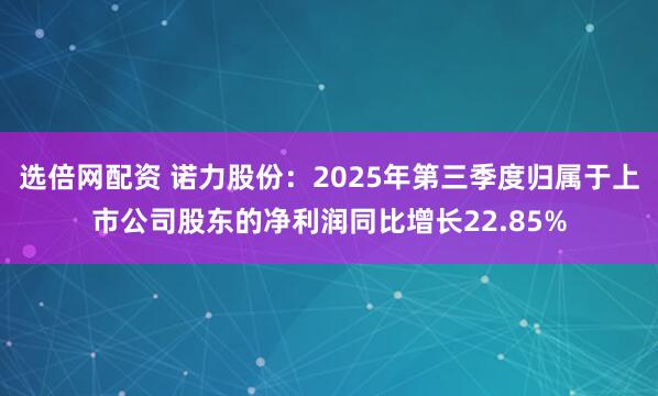 选倍网配资 诺力股份：2025年第三季度归属于上市公司股东的净利润同比增长22.85%