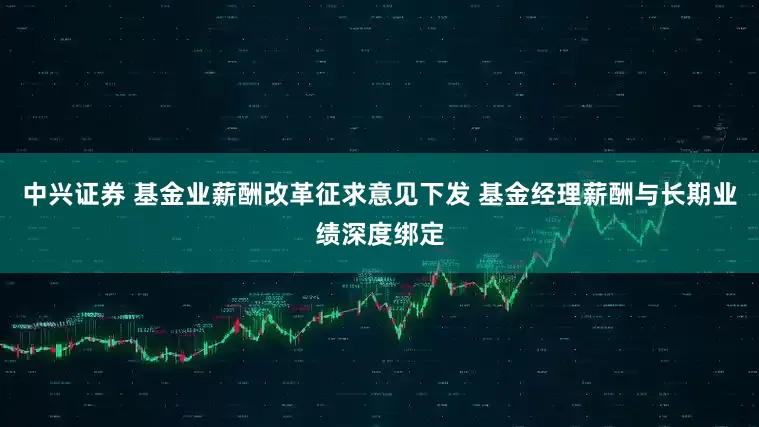 中兴证券 基金业薪酬改革征求意见下发 基金经理薪酬与长期业绩深度绑定
